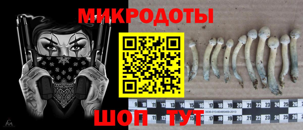 Псилоцибиновые грибы мицелий Сальск